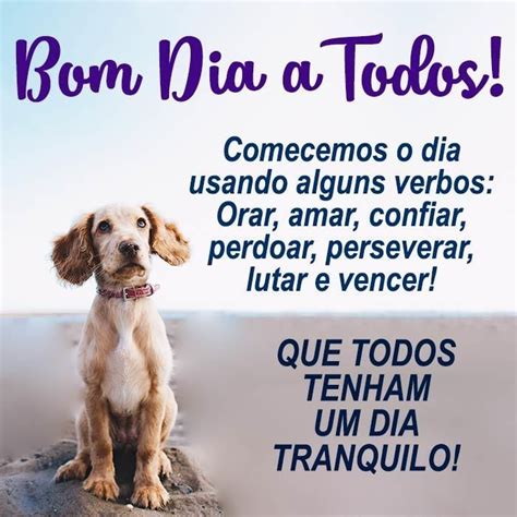 Bom Dia A Todos Ou Bom Dia À Todos - Bom Dia a Todos: 79 mensagens – Bom dias