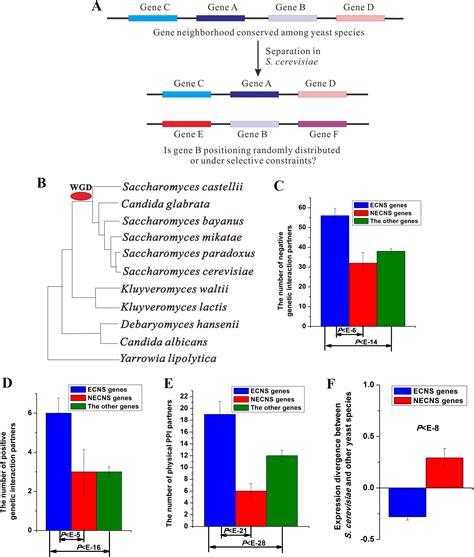 Frontiers Gene Repositioning Is Under Constraints After Evolutionary