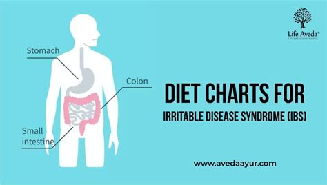 Diet Chart For Ibs Irritable Bowel Syndrome Patients Aveda Ayur