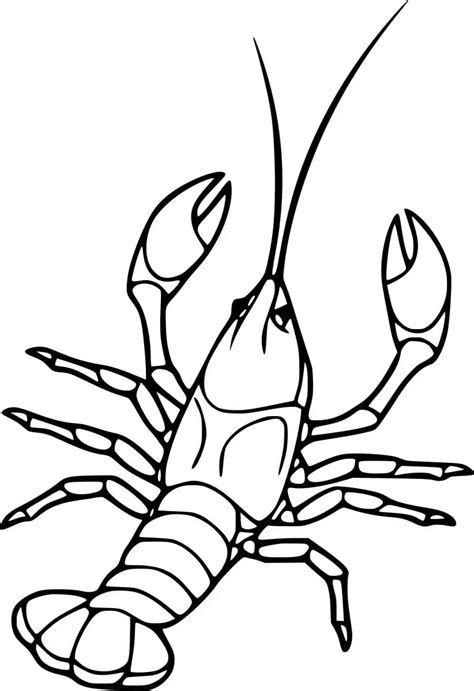 Printable Lobster Coloring Sheets Coloring Pages Coloring Cool