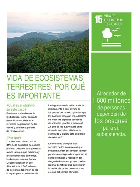 Objetivo 15 Vida De Ecosistemas Terrestres Pdf Pdf Biodiversidad Los Bosques