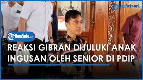 Reaksi Gibran Seusai Dijuluki Anak Ingusan Oleh Senior Di PDIP YouTube