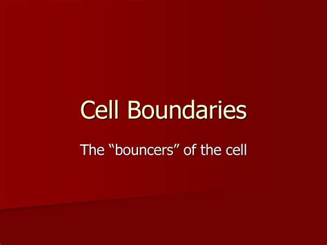 The Bouncers” Of The Cell Ppt Download