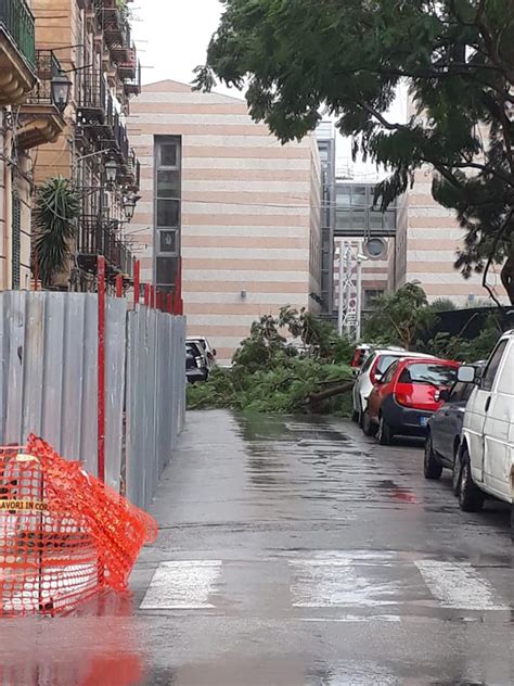 Alberi Caduti E Auto Danneggiate Palermo Sferzata Dal Maltempo Live