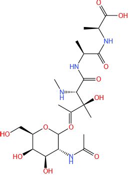 L Alanine N N N Acetyl O Acetylamino Deoxy D