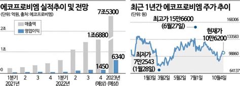 종목속으로 에코프로비엠 광란의 질주코스닥 대장주 굳히나 아시아경제