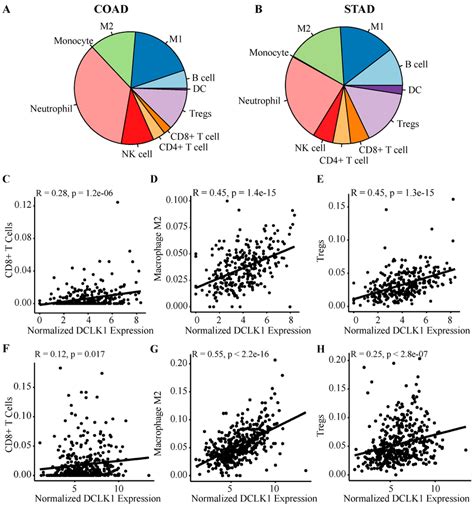 Dclk1 Mrna Expression In Tumor Tissues Is Significantly Correlated With