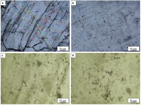 Photomicrographs Of Fluid Inclusions In Quartz Of Veins From Sppp