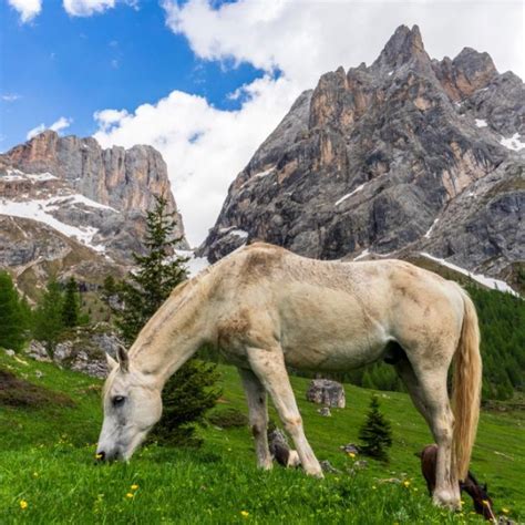 Marmolada Kraljica Dolomitov