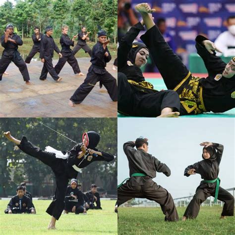 Mengenal Pencak Silat Seni Bela Diri Khas Indonesia Grapari News