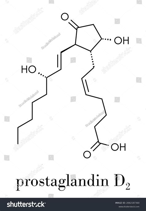 Prostaglandin D2 Pgd2 Molecule Skeletal Formula Stock Vector Royalty