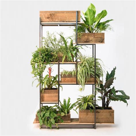 Green Divider Greenery Nyc Room With Plants Indoor Plants Bamboo