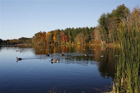 Broad Brook Ct Broad Brook Millpond In Autumn Photo Picture Image