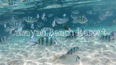 Camayan Beach Resort Youtube