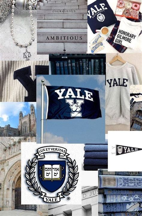 Top 999+ Yale University Wallpaper Full HD, 4K Free to Use