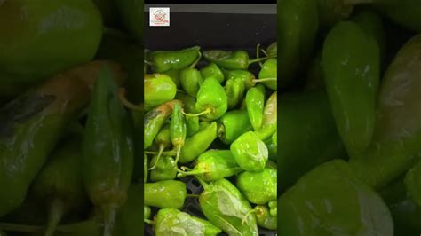 PIMIENTOS DE PADRÓN EN FREIDORA DE AIRE super sencillos y deliciosos