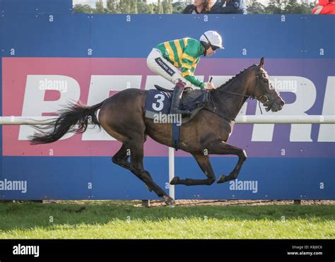 Racehorse Crosses The Winning Line At Uttoxeter Racecourse Stock Photo