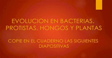 EVOLUCION EN BACTERIAS PROTISTAS HONGOS Y PLANTAS Hongos Xiste