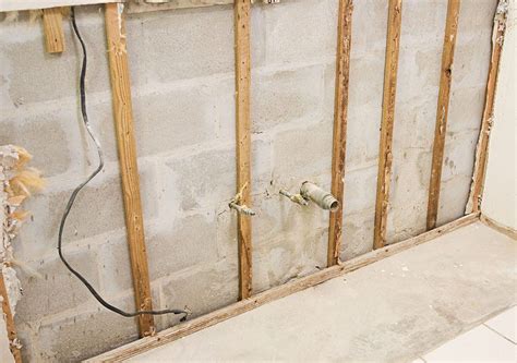 Mold Remediation