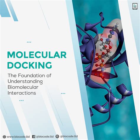 Molecular Docking