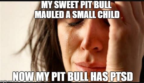 Pit Problems Imgflip