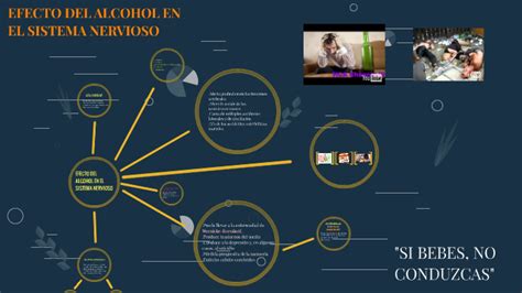 EFECTO DEL ALCOHOL EN EL SISTEMA NERVIOSO By Daniel Canales On Prezi