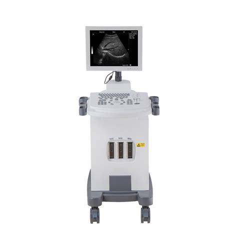 Ltub V Middle End Pc Based Trolley Bw Veterinary Ultrasound Scanner