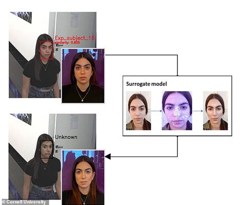 Ai Tells Where To Apply Makeup To Fool Facial Recognition Systems Big