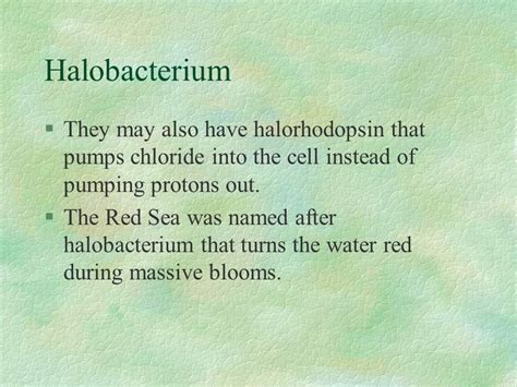 Halophiles_examples