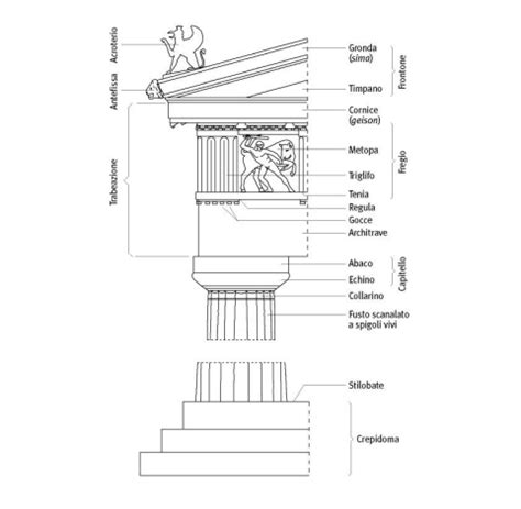 Schematizzazione Con Relativa Nomenclatura Dell Ordine Dorico L Ordine