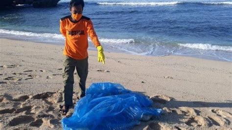 Ditemukan Mayat Tanpa Kepala Di Pesisir Pantai Diduga Anak Berusia