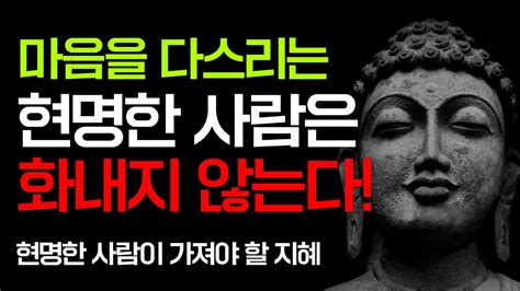 현명한 사람은 절대 화내지 않는다 인간관계 마음 다스리는 법 깊은 통찰력을 가진 명언 인생 조언 삶의 지혜 I