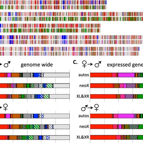 The Sex Specific Chromatin Landscape In D Miranda And Transitions In