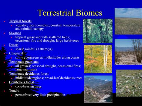 Ppt Ecology And The Biosphere Powerpoint Presentation Free Download Id 2055380