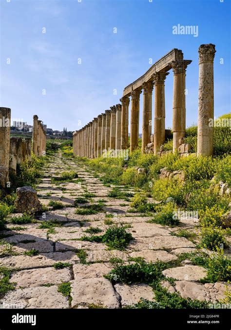 Jerash Jordan Flowers Hi Res Stock Photography And Images Alamy