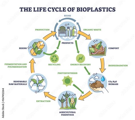 Life cycle of bioplastics and reusable materials production outline ...