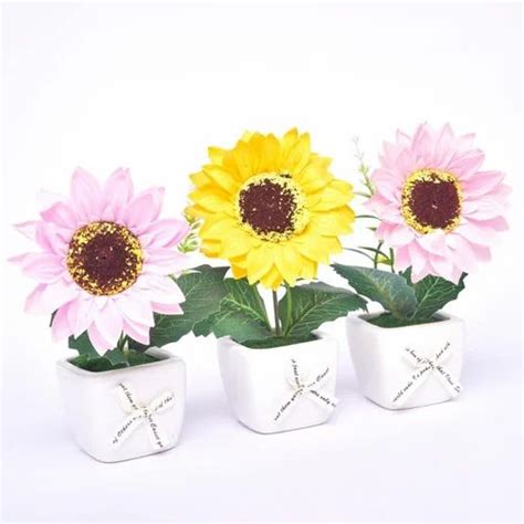 Plain White Ceramic Pots For Interior Decor At Rs 130 In New Delhi