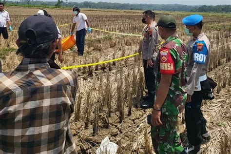 Soal Temuan Mayat Di Persawahan Batang Polisi Sebut Tak Ada Tanda