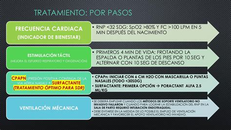 Sindrome De Dificultad Respiratoria En El Rn Pdf Speaker Deck