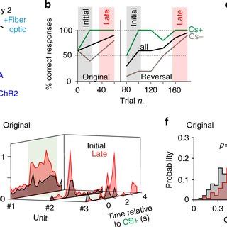 Value assignment to sensory stimuli in the ventral striatum during ...