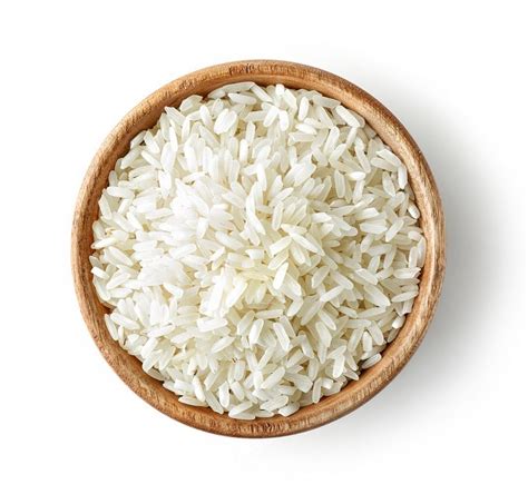 Hydrolyzed Rice Protein- 4oz. | Creation Essentials