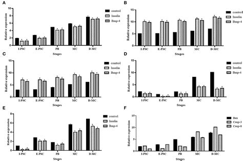 Frontiers Natural History Of Echinococcus Granulosus Microcyst