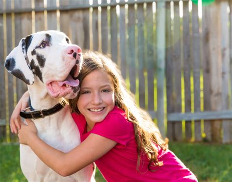 Quais são os maiores cachorros do mundo Portal do Dog