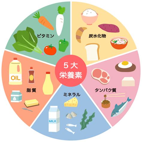 5大栄養素のイラスト（食育・保健・給食） 園だより、おたよりで使えるかわいいイラストの無料素材集【イラストだより】