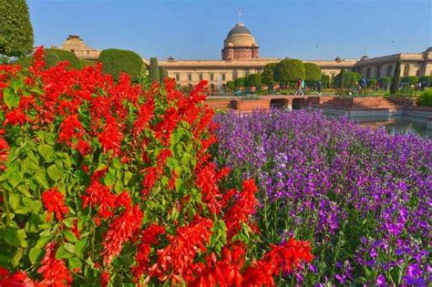 History Of Mughal Garden Rashtrapati Bhavan | Fasci Garden