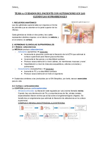 TEMA 9 CUIDADOS DEL PACIENTE CON ALTERACIONES EN LAS GLANDULAS