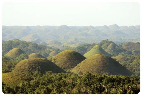 Tarsiers And Chocolate Hills In Bohol The Philippines