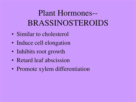 Ppt Plant Hormones Powerpoint Presentation Free Download Id1799701