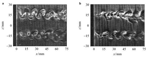 Plan View Hydrogen Bubble Visualization Of Vortex Shedding And Tilting