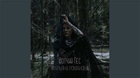 Волчий лес - YouTube Music